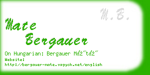 mate bergauer business card